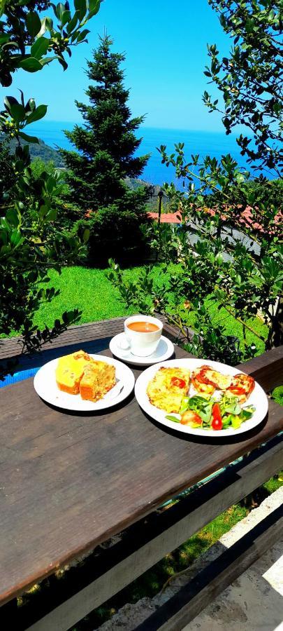 Golden Mountain Guest House Anilio Pelion ภายนอก รูปภาพ